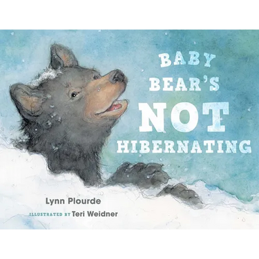 Baby Bear's Not Hibernating