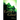 Levin's Ghost
