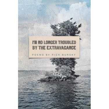I'm No Longer Troubled by the Extravagance