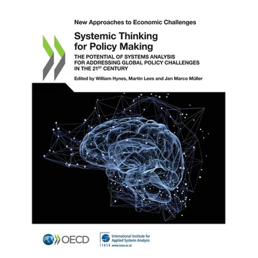 Systemic Thinking for Policy Making