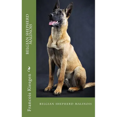 belgian shepherd malinois