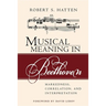 Musical Meaning in Beethoven: Markedness, Correlation, and Interpretation