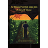 At Times I've Felt Like Job: A Story of 'Choices'