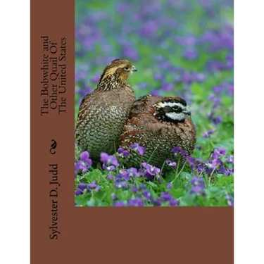 The Bobwhite and Other Quail Of The United States