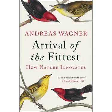 Arrival of the Fittest: How Nature Innovates