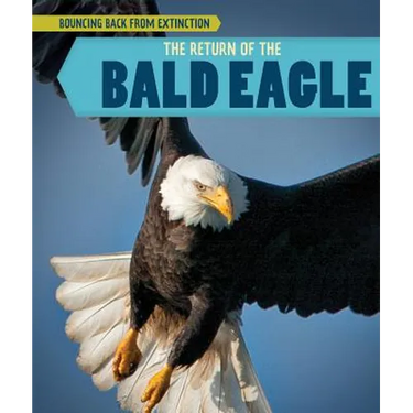 The Return of the Bald Eagle