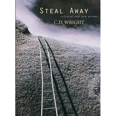 Steal Away: Selected and New Poems