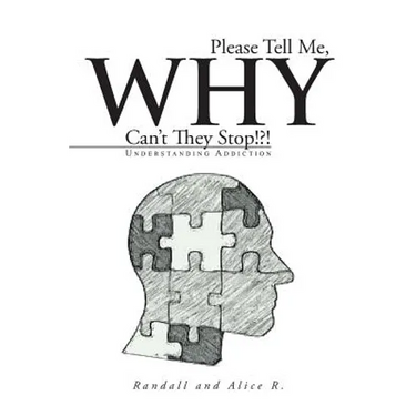 Please Tell Me, Why Can't They Stop!?!: Understanding Addiction