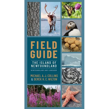 Field Guide to Newfoundland and Labrador: The Island of Newfoundland