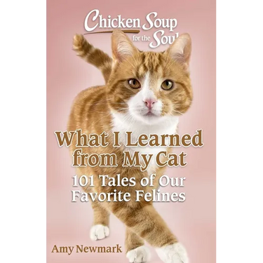 Chicken Soup for the Soul: What I Learned from My Cat: 101 Tales of Our Favorite Felines