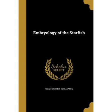 Embryology of the Starfish