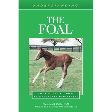 Understanding the Foal: Your Guide to Horse Health Care and Management