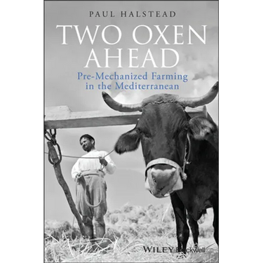 Two Oxen Ahead