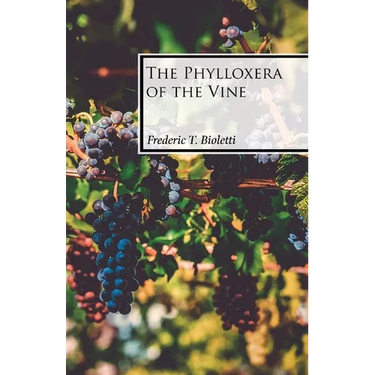 The Phylloxera of the Vine