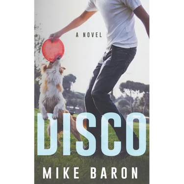 Disco: A Coming Of Age Novel