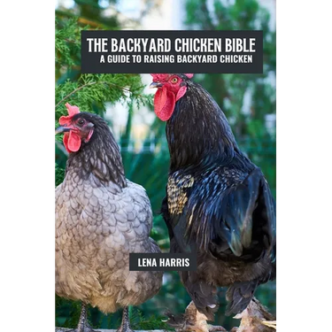 The backyard chicken bible: A guide to raising backyard chicken