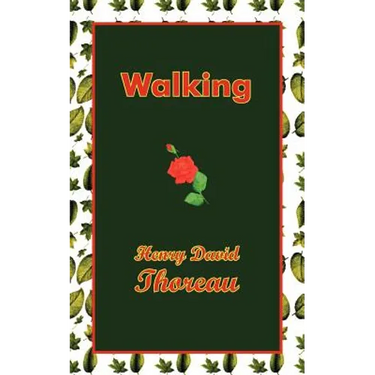 Walking