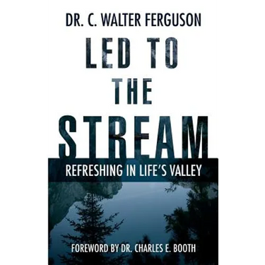 Led To The Stream: Refreshing In Life's Valley