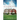 House of Harwood: A Novella
