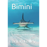 Bimini: A basic travelers guide