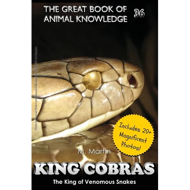 King Cobras: King of Venomous Snakes