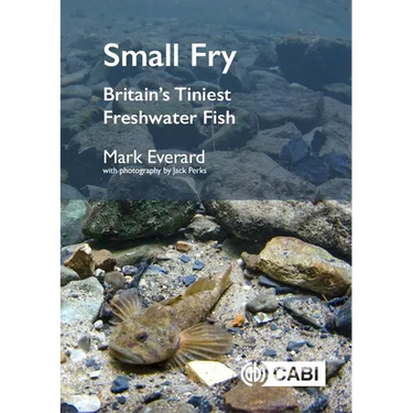 Small Fry: Britain's Tiniest Freshwater Fishes