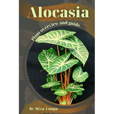 Alocasia: Plant overview and guide