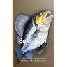 It's Time to Learn about Bass Fish