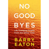 No Goodbyes: No Goodbyes: Life-Changing Insights from the Other Side