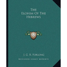 The Elohim Of The Hebrews