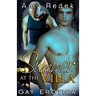 Summer at the Villa: Gay Erotica
