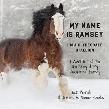 My Name is Ramsey: I'm a Clydesdale Stallion