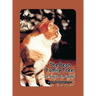 The Bean Family Tree: In English and Spanish