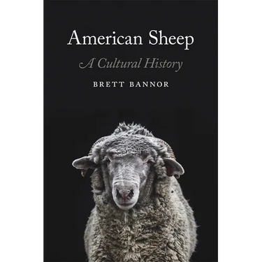 American Sheep: A Cultural History