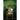 Upon This Throne