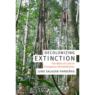 Decolonizing Extinction: The Work of Care in Orangutan Rehabilitation