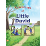 Adventures of Little David