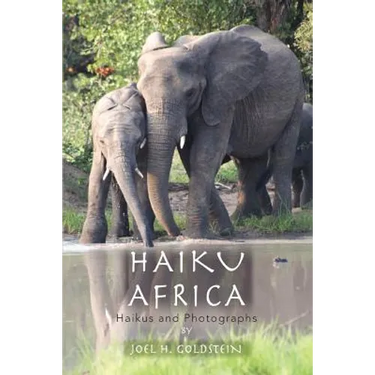 Haiku Africa: Haikus and Photographs