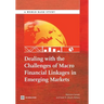 Dealing with the Challenges of Macro Financial Linkages in Emerging Markets
