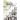 The Governors of Georgia: Third Edition 1754-2004