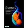 The Fetal Matrix - Evol Dev Disease