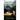 First Wife's Ghost