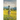 Coyote Valley