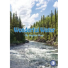 Wonderful Water