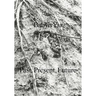 Babyn Yar: Past, Present, Future