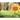 The Lost Sunflower