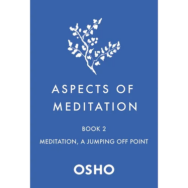 Aspects of Meditation Book 2: Meditation, a Jumping Off Point