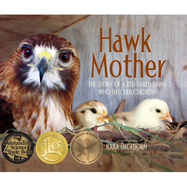 Hawk Mother: The Story of a Red-Tailed Hawk Who Hatched Chickens
