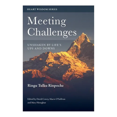 Meeting Challenges: Unshaken by Life's Ups and Downs