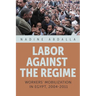 Labor Against the Regime: Workers' Mobilization in Egypt, 2004-2011
